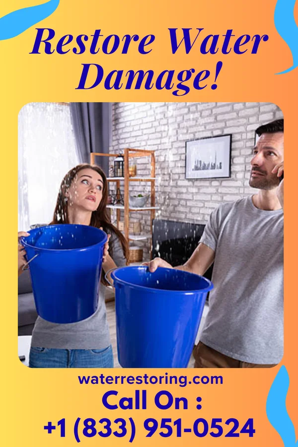 water restoration Expert Flood Damage LLC Perry Heights