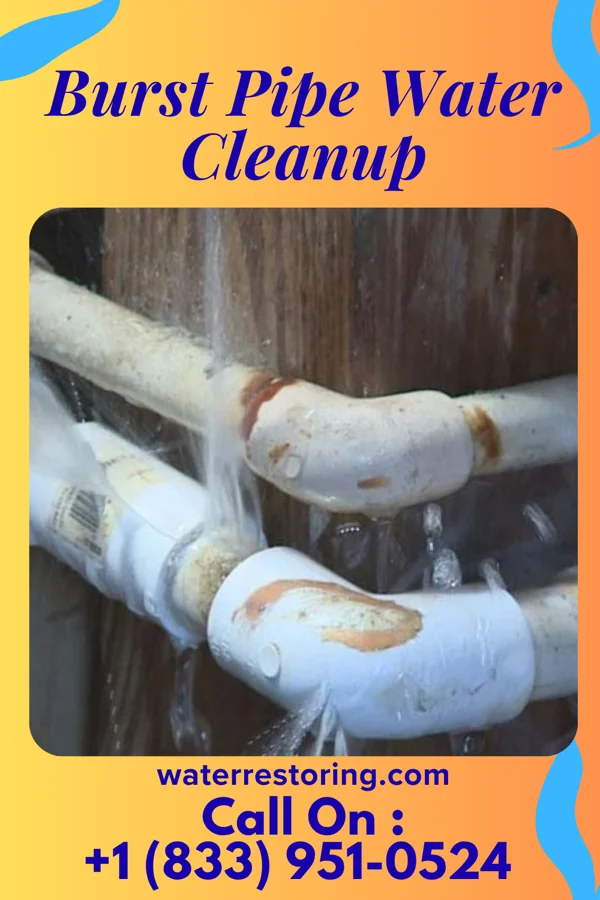 Burst Pipe Water Cleanup in Perry Heights, OH