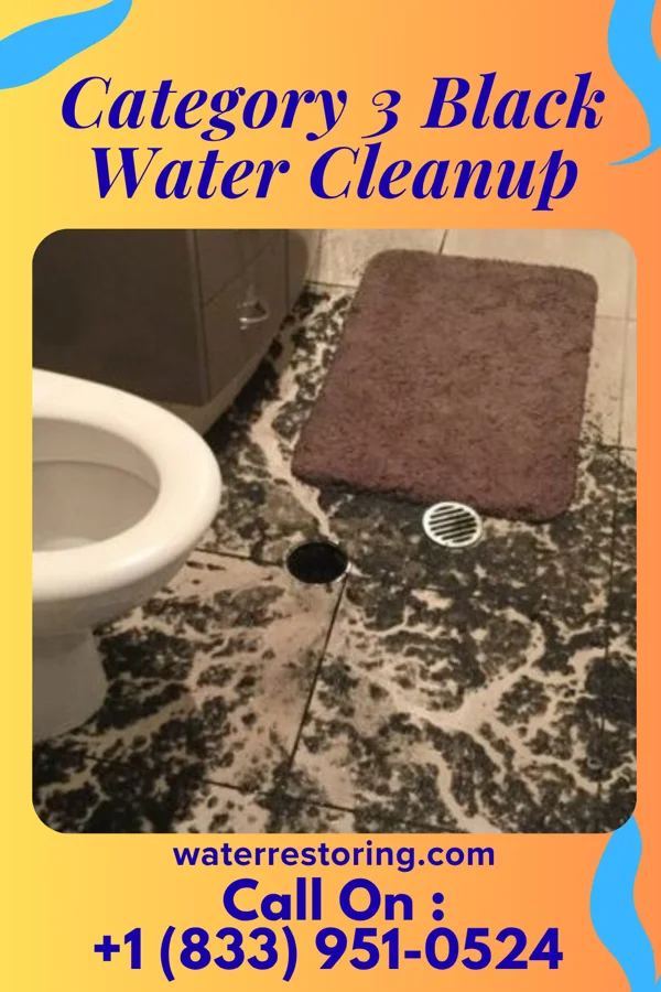 Category 3 Black Water Cleanup in Perry Heights, OH