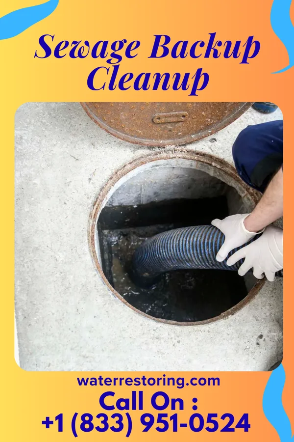 Sewage Backup Cleanup in Perry Heights, OH