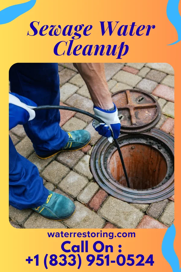Sewage Water Cleanup in Perry Heights, OH