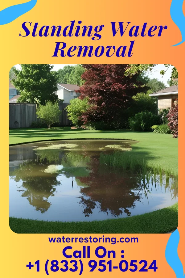Standing Water Removal in Perry Heights, OH